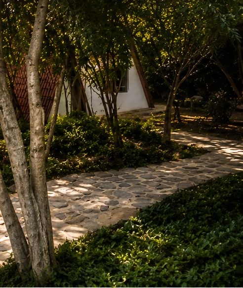 Cabañas triangulares entre los árboles