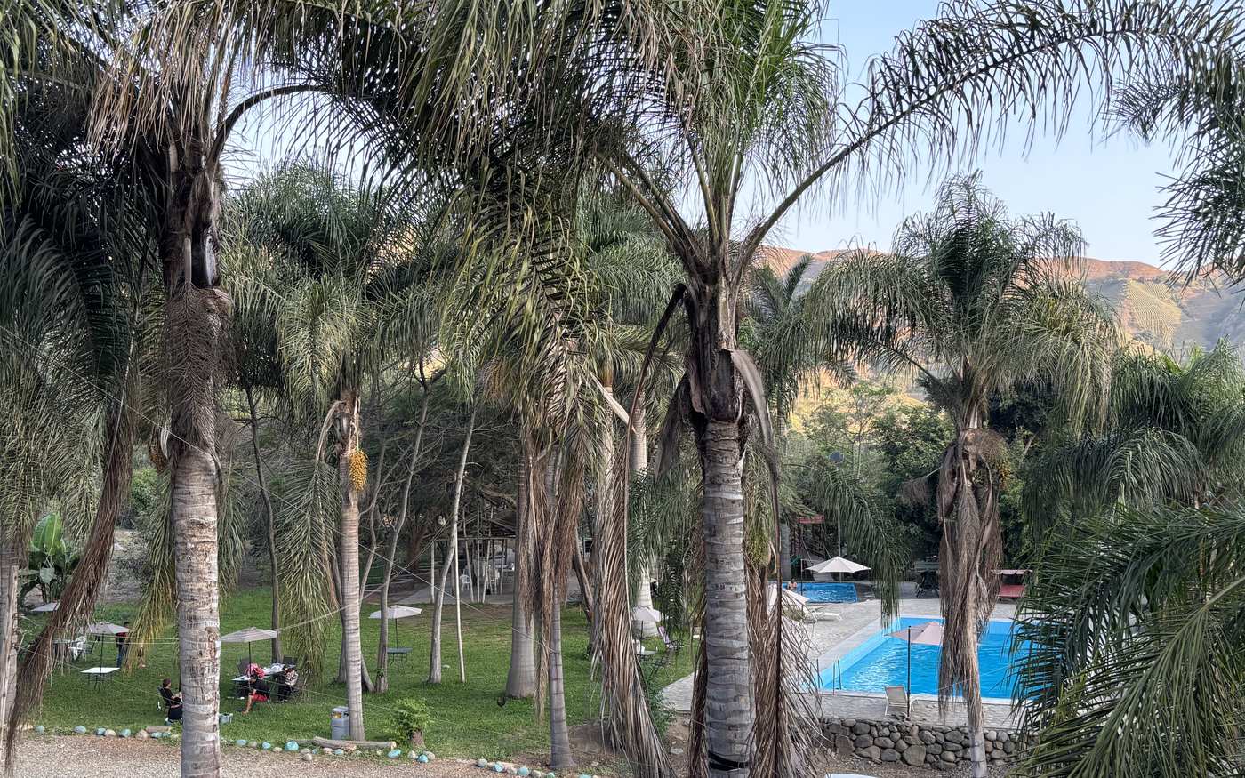 Piscina principal con palmeras y montañas